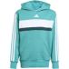 Adidas Seasonal Essentials Tiberio 3 Stripes Fleece Hoodie Garçon