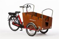 Bakfiets.nl Daycare Trike Steps rood / 2022