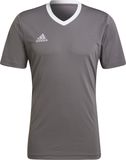 adidas Performance Entrada 22 Voetbalshirt - Heren - Grijs - M