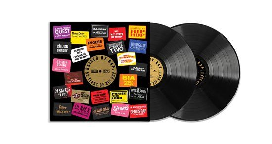 Raised By Rap: 50 Years of Hip Hop (2 LPs) - Various Artists - Black Vinyl - Rap & Hip Hop