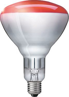 Philips Incandescent reflector lamp Gloeilamp 871150057520325