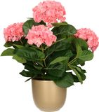 Mica Decorations Hortensia plante artificielle/fleurs artificielles 45 cm - rose - en pot or brillant - Plante d'intérieur artificielle