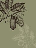 Komar Muurfoto - Wild Cocoa - Grootte: 30 x 40 cm