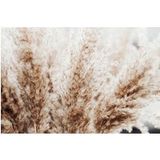 Pampas Papier Peint Panoramique - 130 cm x 87 cm