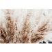 Pampas Papier Peint Panoramique - 130 cm x 87 cm