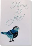 Cards & Crafts Hoera 13 Jaar! Luxe verjaardagskaart - 12x17cm - Gevouwen Wenskaart inclusief envelop - Leeftijdkaart