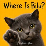 Where Is Bilu?: A Touching Tale of a Boy and His First Cat