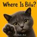 Where Is Bilu?: A Touching Tale of a Boy and His First Cat