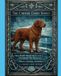 MOST The Chessie Codex: Most People Should Never Own a Chesapeake Bay Retriever - The Chessie Codex