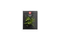 Woll Cut & Serve snijplank, 25 x 19 cm, mat zwart
