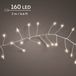 Lumineo Led-lichtsnoer met 160 micro-leds, 2 m, warm wit