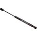 Magneti Marelli Vérin, Vitre Arrière 430719069800 Renault 904600001r