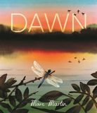 Dawn: Walker Books Ltd Dawn: Watch the World Awaken Hardcover