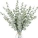 Unyqoos® Kunstmatige eucalyptus takken – 18 stuks