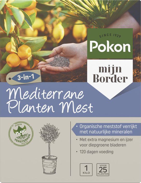 Pokon Mediterrane Planten Mest - 1kg - 3-in-1 werking - Meststof