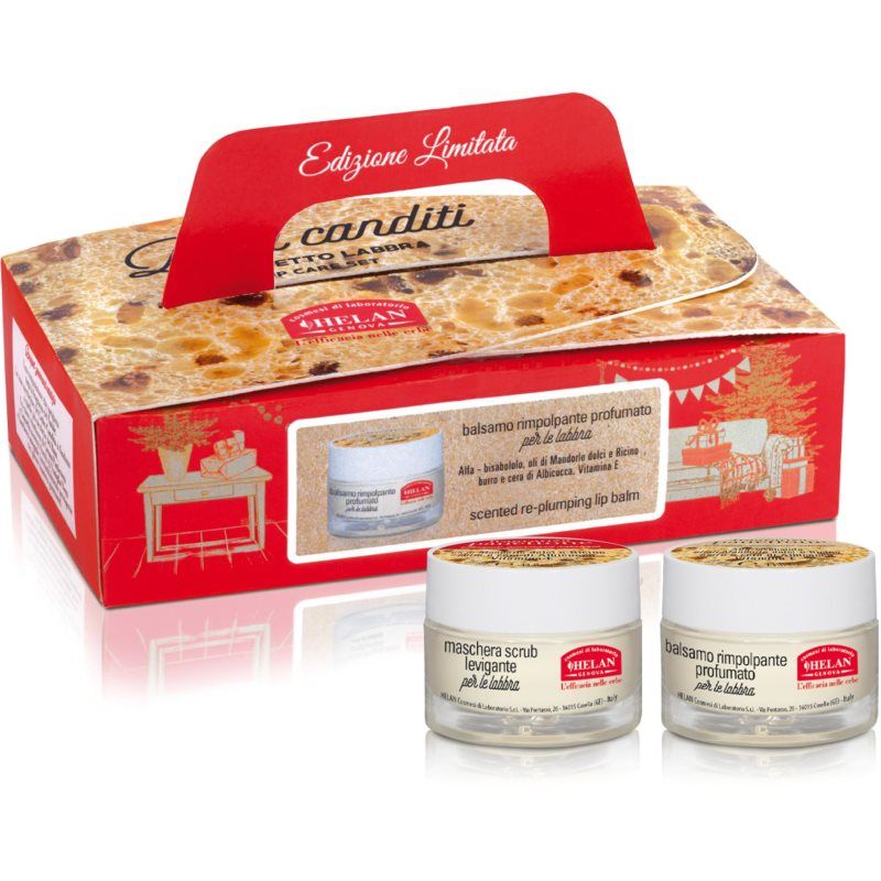 Helan Panettone