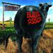 Blink-182 - Dude Ranch - CD