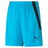 Puma Teamliga Short Kinderen - Atol
