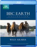 Dutch Film Works BBC Earth Collection - Wild Arabia (Blu-ray)
