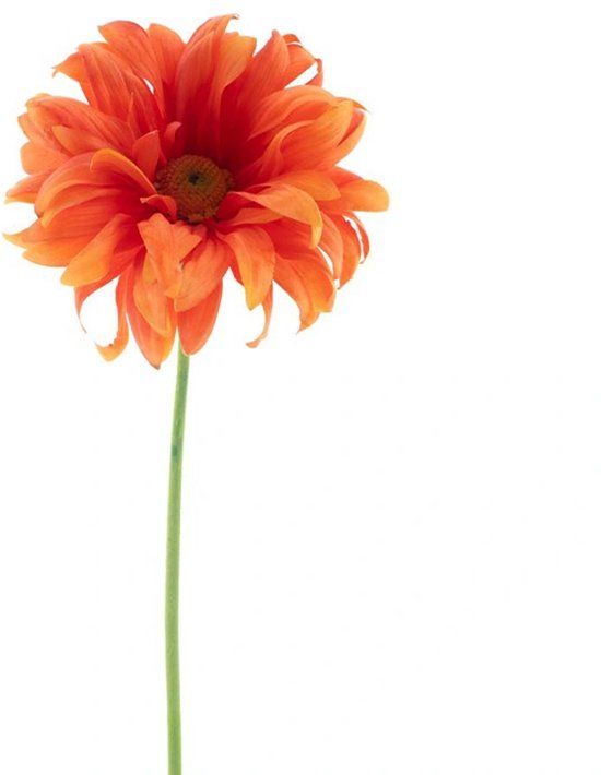 Erutan avon Gerbera spray Lotte orange 76 cm
