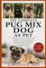 THE COMPLETE PUG MIX DOG AS PET