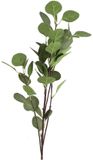 Countryfield Eucalyptus zijde l17b17h90cm groen