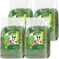 MultiFit MultiFit Grain Free Kräuter 4er Set Peterselie 4x200 g