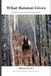What Baianai What Baianai Gives: Stories from the Siberian Taiga