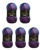 5 Wollbiene 5 x 100 g Batik wolbijen 500 gram wol met kleurverloop meerkleurige breiwol haakwol (5900 lila bessenblauw)