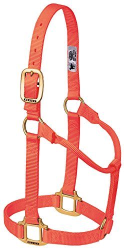 Weaver Leather Originele Niet Verstelbare Halter Med. Blaze Orange