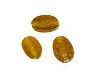 Glazen kraal steen ovaal ijs amber 1 cm 500 g 310 u.