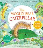 The woolly bear caterpillar
