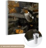 MuchoWow® Glass Painting 20x20 cm - Acrylic Glass Painting - Hummingbird - Forest - Butterflies - Photo on Glass - Paintings