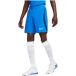 NIKE Sportbroek 'Vaport lV' blauw / navy / royal blue/koningsblauw / wit