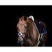Horse Fit Form International SRL Frontaal voor paard hfi v shape + strass