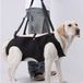 Holland Connections Sac de transport extra large pour chien – Bandoulière respirante en maille, adaptée aux chiens souffrant d'arthrite, de douleurs articulaires et de problèmes de mobilité – Noir