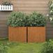 Bonnevie Jardinières De Jardin 2 Pcs - Balconnière À Fleurs Gris 49x47x46 Cm Acier Corten Bv329125