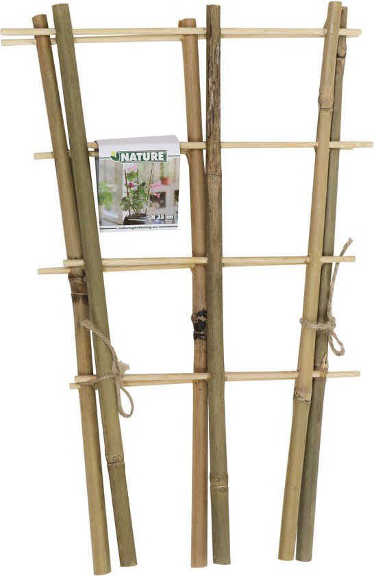 Driesprong Collection Bamboeplantrekje h35b18 cm s2st