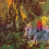 Thought Wake - Thought Form Descent (LP) (Limited Edition) (Leaf Green Marbled Vinyl)