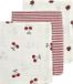 Meyco Hydrofiele Washandjes - 3 Stuks - 20 x 17 cm - Girly Garden - Rood