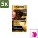 SYOSS Oleo Intense 4-60 Brun doré Coloration permanente - 5 pièces