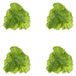Feuilles artificielles 12 Pièces - Décoration - Feuille de légumes artificielle - Accessoires alimentaires - Modèles de salade de simulation - Durable et facile d'entretien - Légumes factices