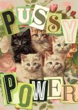 Marie-Chantal Puzzle Kattenkracht 99 stukjes