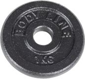 Bodyline Gietijzeren schijf van 1 kg voor halter-, halter- en gewichtheffen - diameter 25 mm - voor gym-, fitness- en thuistraining