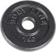 Bodyline Gietijzeren schijf van 1 kg voor halter-, halter- en gewichtheffen - diameter 25 mm - voor gym-, fitness- en thuistraining