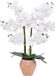 Atmosphera Plante artificielle Orchidée - fleurs blanches - en pot - 65 cm