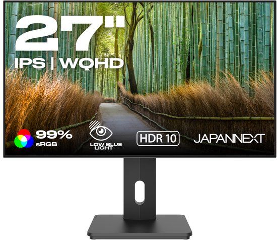 JAPANNEXT Bureaumonitor 27" IPS WQHD 60 Hz