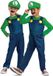 Disguise NINTENDO - Super Mario Bros. Luigi Elevated Fancy Kostuum, Maat M (7-8 jaar)
