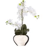 Atmosphera Orchidee bloem kunstplant - wit - H56 x B40 cm - in luxe zilveren pot