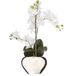Atmosphera Orchidee bloem kunstplant - wit - H56 x B40 cm - in luxe zilveren pot
